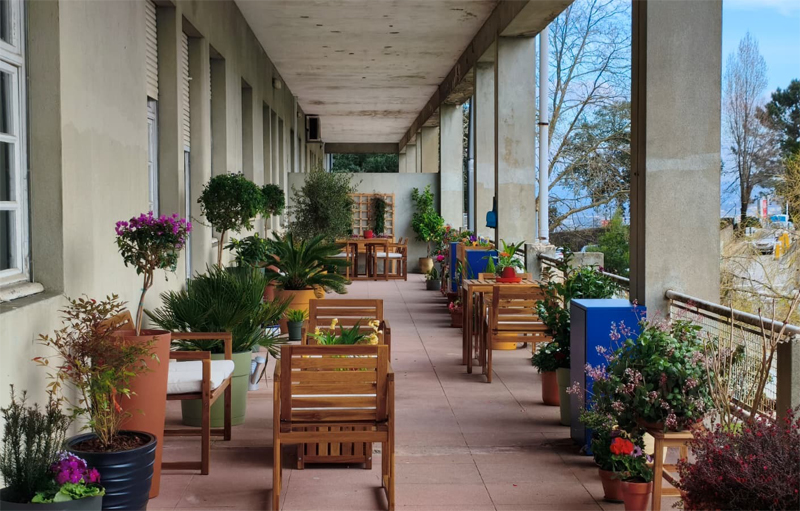 “Tudo por amor”: Trocaram flores por donativos para financiar intervenção em varanda do Hospital de Gaia.